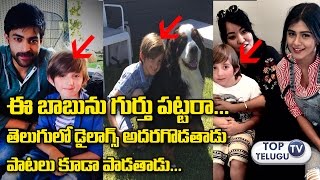 Watch Varun Tej Mister Movie Child Artist Bujji (Zbigniew Chertlur) Photos | Hebbah Patel | Top Telugu TV Video