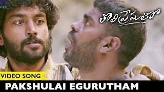 Watch Tholi Premalo Movie Songs Pakshulai Egurutham Video Song Chandran, Anandhi Prabhu Solomon Video