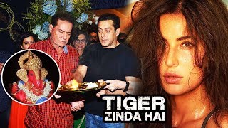 Watch Salman To CANCEL Tiger Zinda Hai Shoot For Ganapati, Katrina's First Look From TZH Video