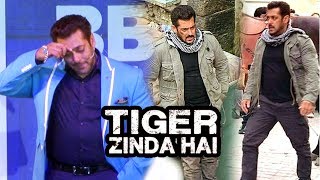 Watch Salman Khan Talks On Tiger Zinda Hai Shooting In Abu Dhabhi Video