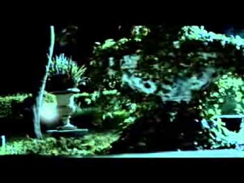 Watch Hutch - Torch Video