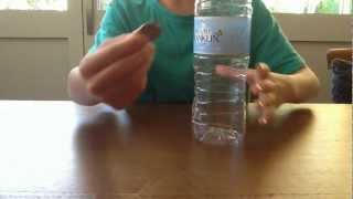Watch Amazing and Easy Magic Tricks Video