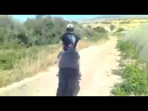 Watch whatsapp videos funny donkey ride Video
