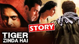 Watch Salman Khan's Tiger Zinda Hai INTERESTING Story Revealed Video