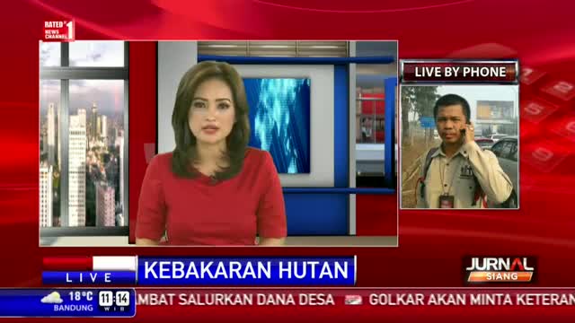 Watch Pantauan Langsung Kebakaran Hutan di Sumsel Video