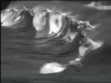 Watch Horse Surfer Video