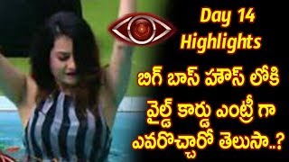 Watch Big Boss Telugu Wild Card Entry  - bigg boss telugu reality show  day 14 highlights - Star Maa Video