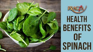 Watch Health Benefits Of Spinach | Rashmi Bhatia (Dietician) Video