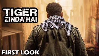 Watch Salman's Tiger Zinda Hai FIRST LOOK - Director Ali Abbas Reveals Video