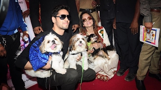 Watch Sidharth Malhotra At The Launch Of Pet Festival In Mumbai Video