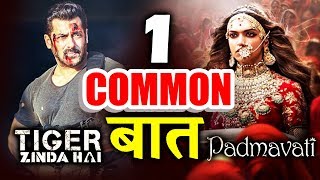 Watch Tiger Zinda Hai And Padmavti Have 1 Thing In COMMON - Know what Video