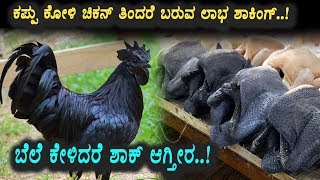 Watch Amazing Benefits of Black chicken | Kannada Health Videos | Top Kannada TV Video