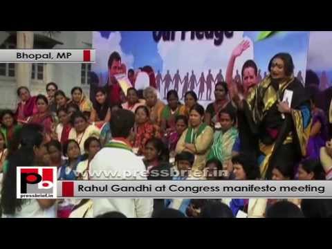 Watch Rahul Gandhi- Every woman should have a participation in a democracy Video