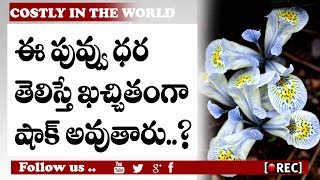 Watch Shocking This Flower Cost 20 cr l Iris Japonica Flower | RECTVINDIA Video