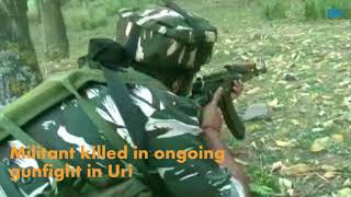 Watch Militant killed in ongoing gunfight in Uri Video