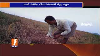 Watch Pest To Paddy Field | Farmers Burnt Crop Residue in Sathupally Mandal | iNews Video
