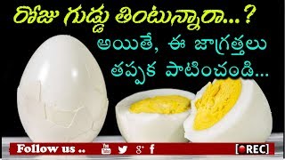 Watch à°°à±‹à°œà± à°—à±à°¡à±à°¡à± à°¤à°¿à°‚à°Ÿà±à°¨à±à°¨à°¾à°°à°¾ à°…à°¯à°¿à°¤à±‡ à°ˆ à°µà±€à°¡à°¿à°¯à±‹ à°šà±‚à°¡à°‚à°¡à°¿ l Top 10 Health Benefits of Eating Eggs l rectvindia Video