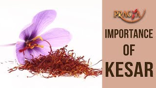 Watch Importance of Kesar | Dr. Vibha Sharma (Ayurveda & Panchkarma Expert) Video