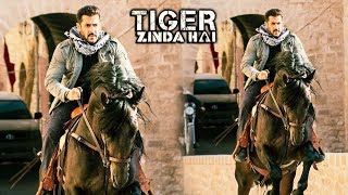 Watch Salman Khan's HORSE RIDING LOOK Creates Thunder | Tiger Zinda Hai Video