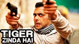 Watch Salman's Tiger Zinda Hai Stunts To Match Hollywood Standards Video