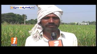 Watch Farmers Suffered With Debts Due To Their Crops Corps | Idhinijam | iNews Video