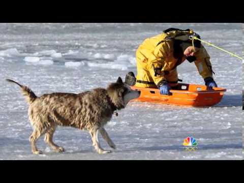 Watch Firefighter Rescues Dog from Icy Fall News Video Video