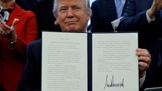 Watch Trump signs order to streamline executive branch Video