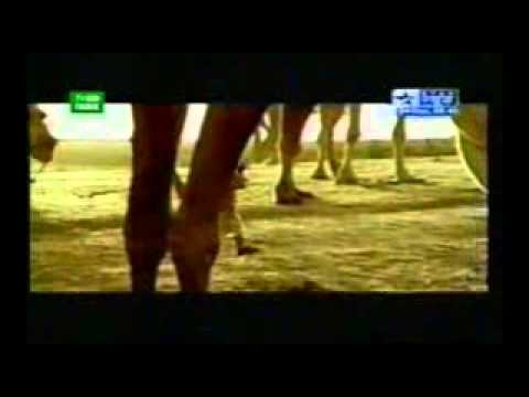 Watch Fevicol -  Baby Video