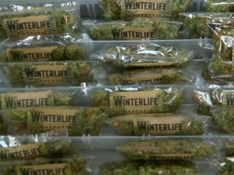 Watch Seattle Company Delivers Highs to Customers News Video Video