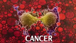 Watch Cancer cases on a rise in Nation: JP Nadda Video