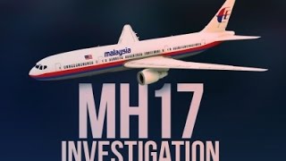 Watch Report: Buk Missile Downed MH17 In Ukraine Video
