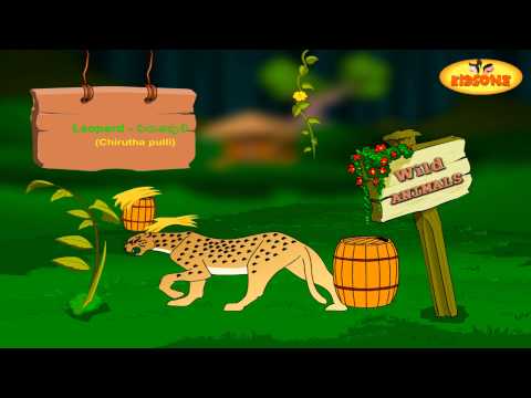 Watch Learn - Domestic & Wild Animals - with Animation Video