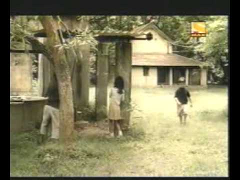 Watch Hutch - Hide-n-Seek Video