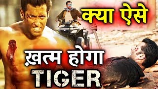 Watch Will Salman Khan's Role END In Tiger Zinda Hai? Video