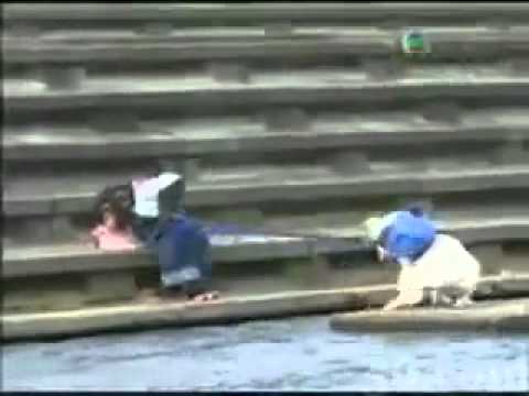 Watch Mission Impossible - Monkey and Dog - Best Funny Video Video