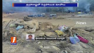 Watch Maoists Torch 47 Trucks, 4 JCBs and 2 tractors In Maharashtra | iNews Video