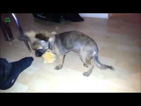 Watch Funny Babies Scared of Farts Compilation 2013 [NEW HD] - Best Funny Video Video