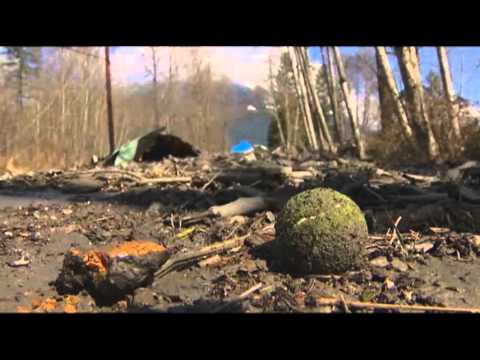 Watch Search for Washington Mudslide Survivors Grows News Video Video