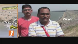 Watch Thousands Of Fish Dying in Sri Ram Sagar Project | CIFRI Scientists Conducts Research | iNews Video