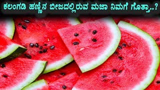 Watch Secrete benefits Water Million Seeds | Useful Video Must Watch | Kannada Health Videos Video