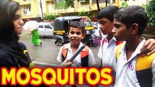 Watch India on MOSQUITOES - Machar Maro Sablog Video