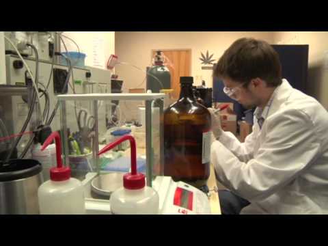 Watch Legal Pot Sales in Colorado Begin January News Video Video
