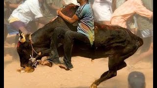 Watch Funny Indian Videos - Whatsapp Funny Video Video
