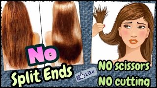 Watch How to Get Rid of Split Ends INSTANTLY - NO Scissors NO Cutting | Miracle Natural Home Remedy Video