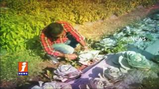 Watch Success Story Of A Student Farmer With Natural Farming In Medak District | iNews Video