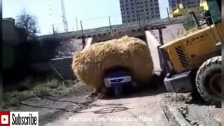 Watch Kompilasi Video Lucu Banget Bikin Ngakak Indonesia Video