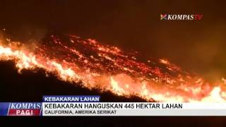 Watch Kebakaran Hanguskan 445 Hektar Lahan Video