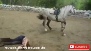 Watch Kompilasi Aksi Gagal Lucu Bikin Ngakak Jungkir Balik Video