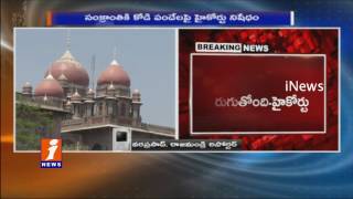 Watch High Court Orders to AP Government to take Action on Rooster Fight | iNews Video