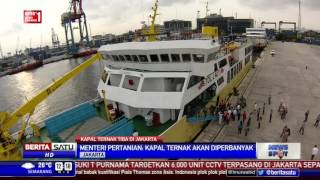 Watch 500 Sapi dari Nusa Tenggara Tiba di Priok Video